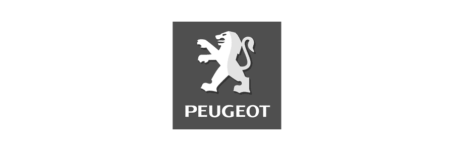 Online Marketing Referenz Peugeot